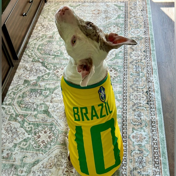 plinadasilva